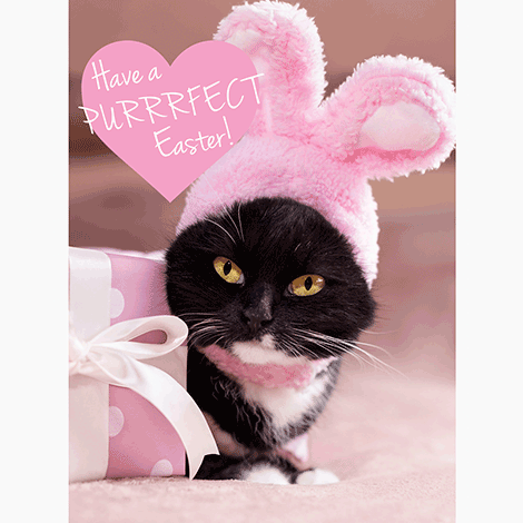 Purrrfect Easter eCard